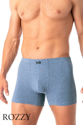 Трусы шорты мужские Key MXH 073 серо-голубой