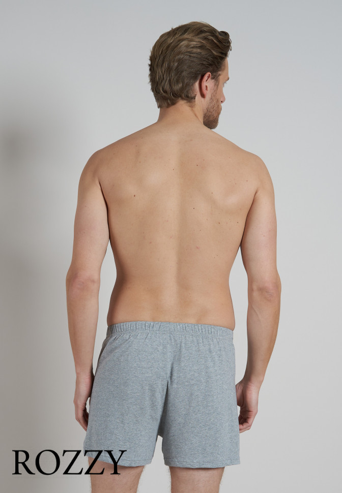 Трусы боксеры мужские Ceceba 002675/3XL-4XL серый меланж/синий (уп.2шт.)