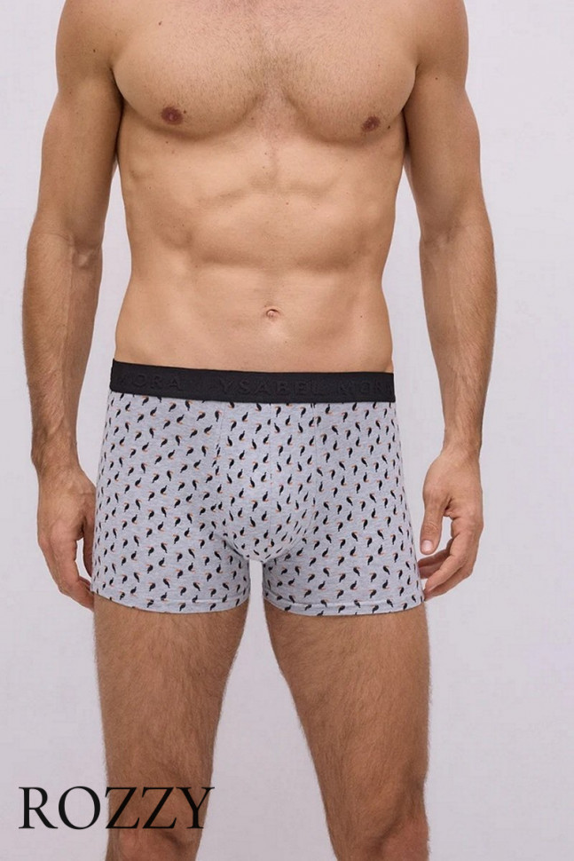 Трусы шорты мужские Ysabel Mora 20392 светло-серый/черный (уп.2шт.)