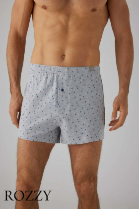 Трусы боксеры мужские Ysabel Mora 20351 серый