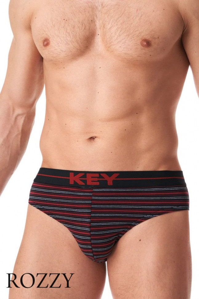 Трусы слипы мужские Key MPP 356 B23 серый/красный (уп.2шт.)